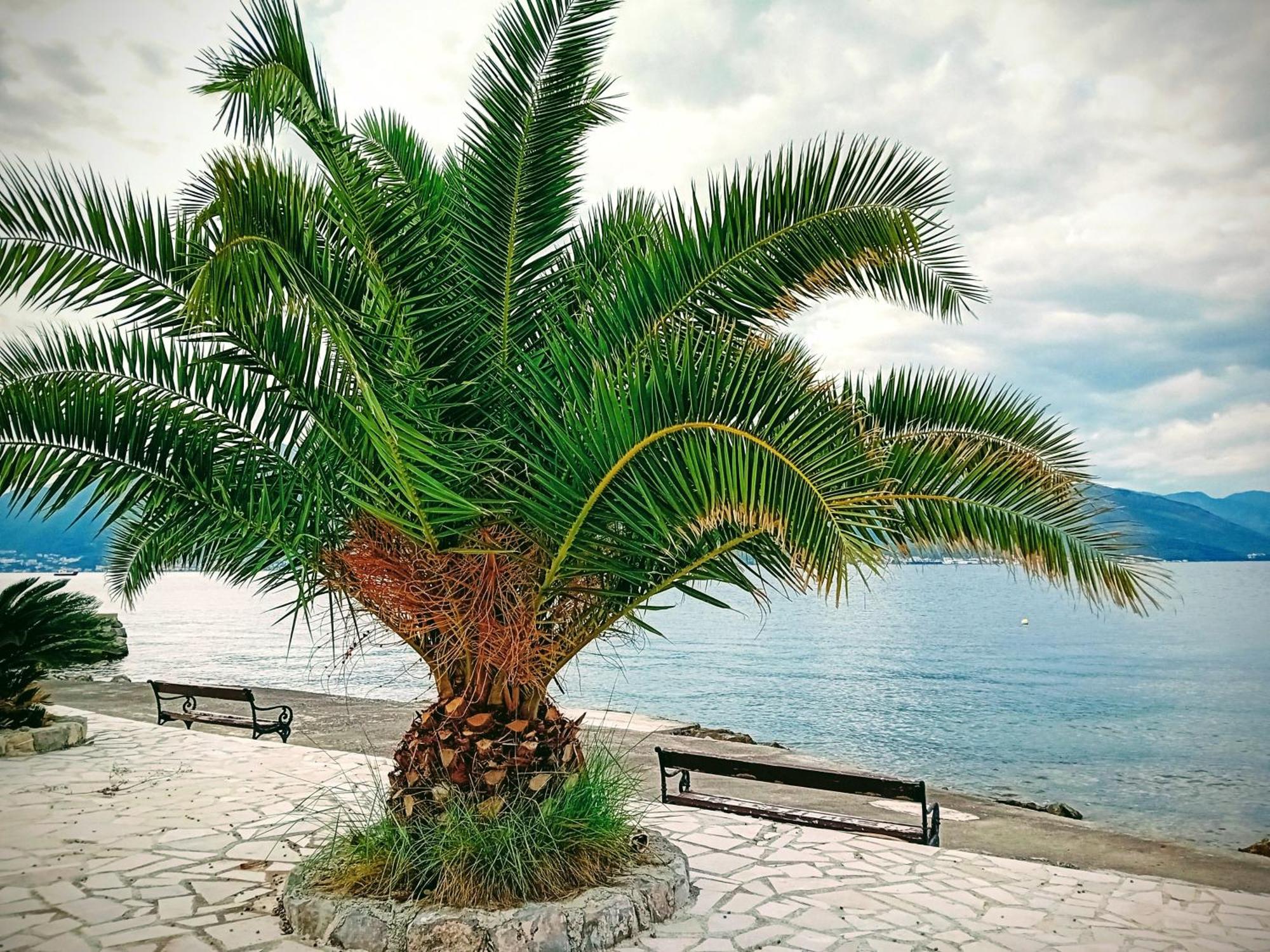 Studio Happy Montenegro Krasići Exterior foto